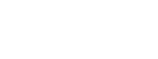 American National logo