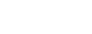 Sentinel Security Life logo