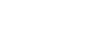 The Standard logo