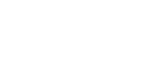 Lincoln Financial logo