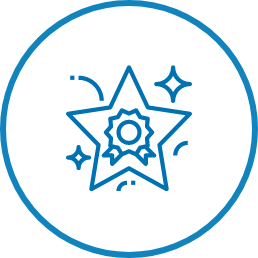 Star icon for excellence core value