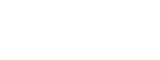 Annexus logo