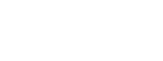 Lincoln Financial logo